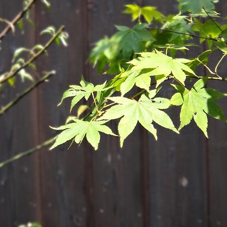 Machiya Oozora Villa Kyoto Eksteriør billede